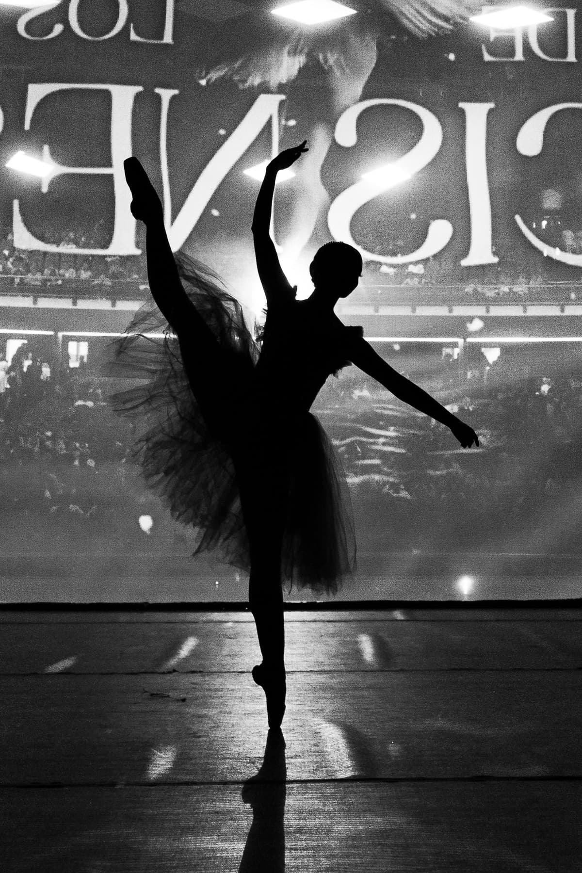 Performing Arts Portfolio