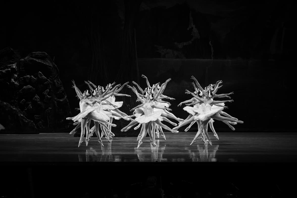 Performing Arts Portfolio