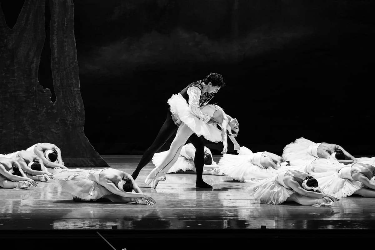 Performing Arts Portfolio