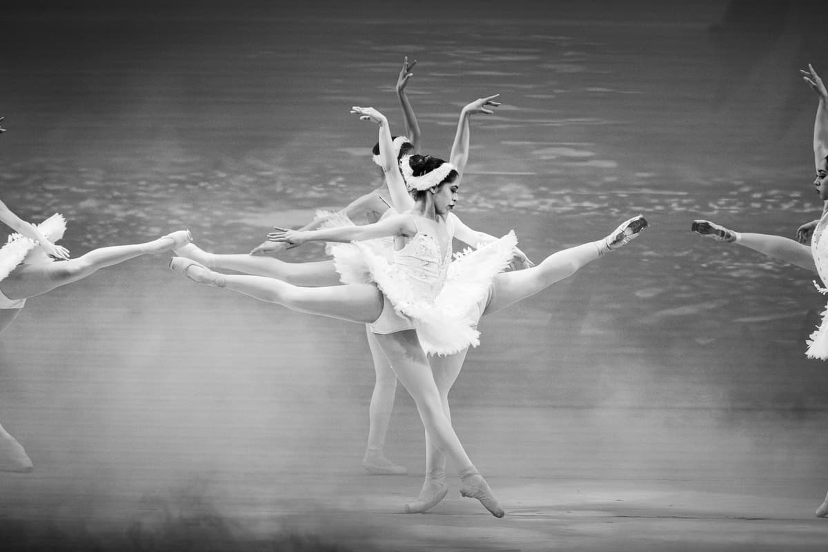 Performing Arts Portfolio