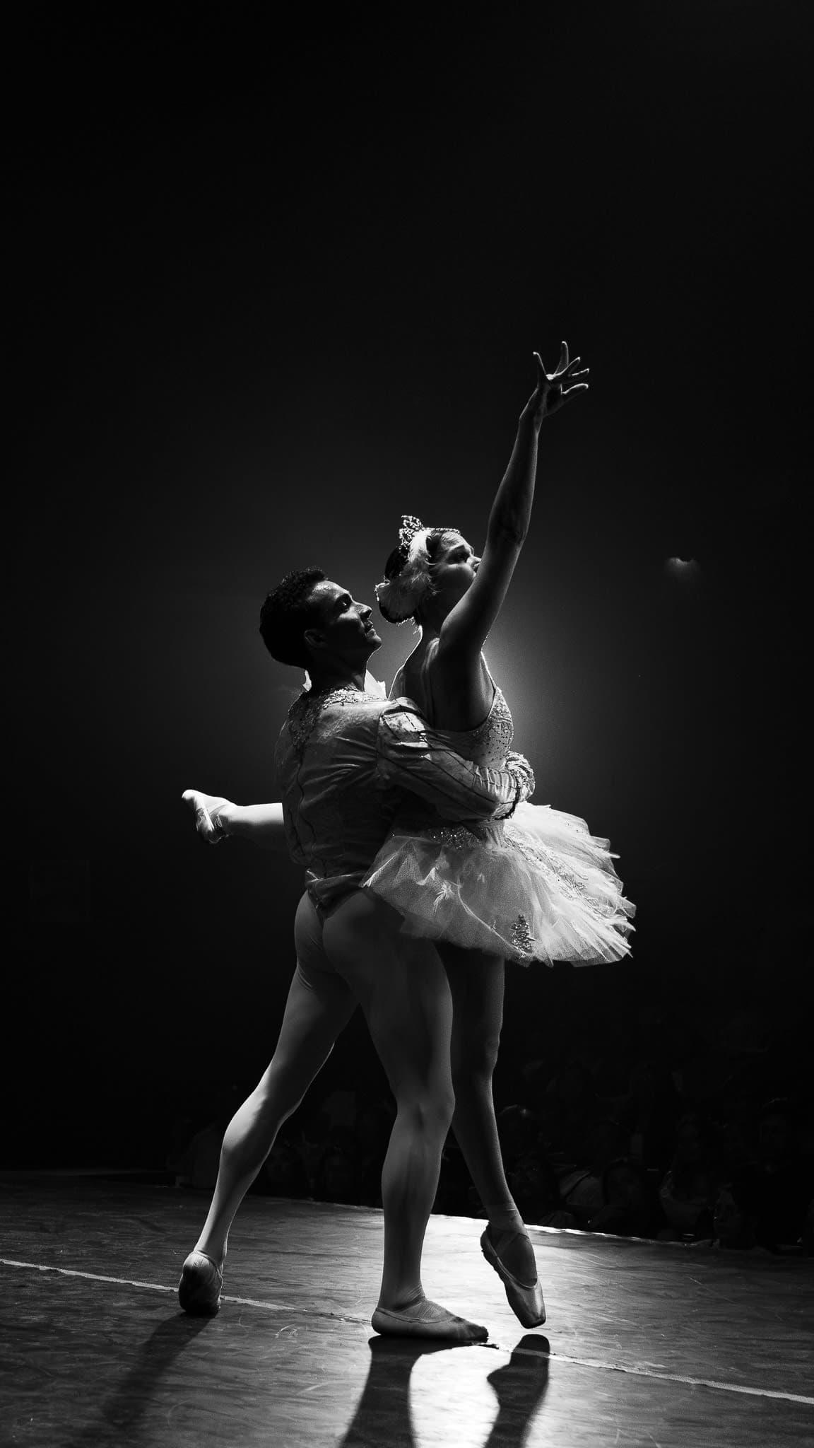 Performing Arts Portfolio