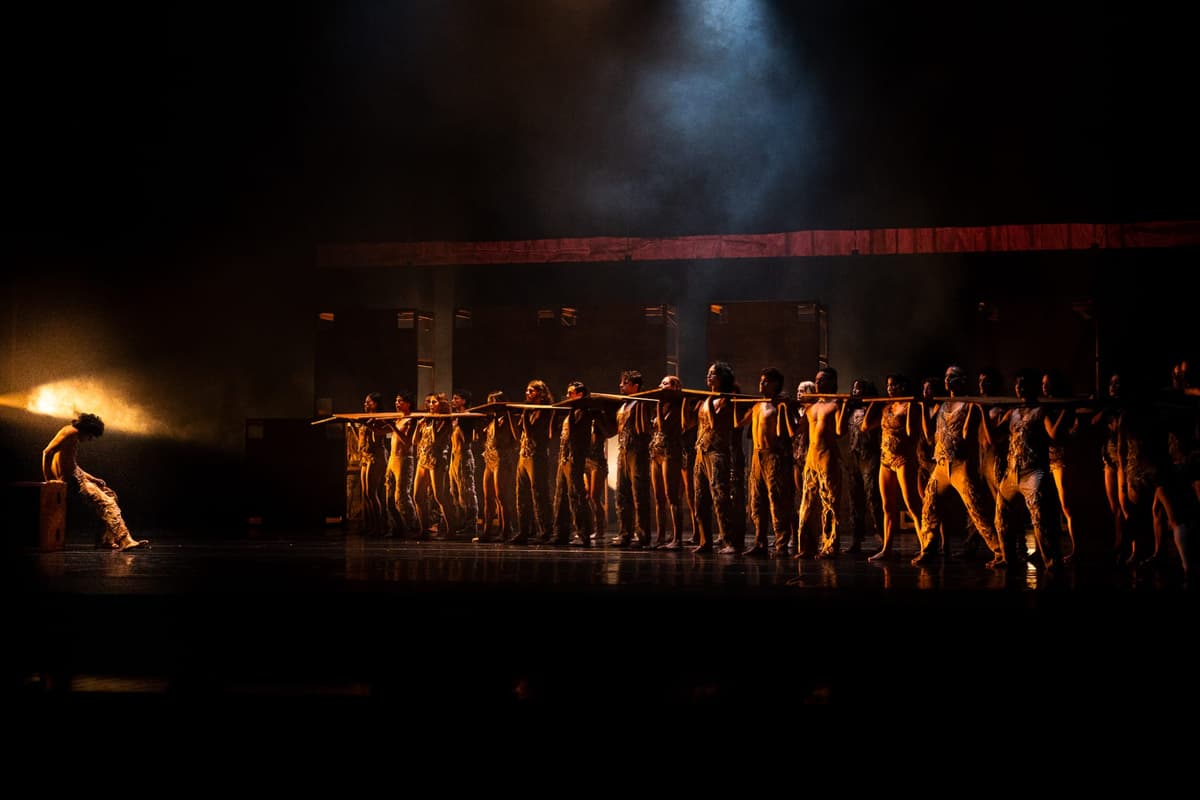 Performing Arts Portfolio