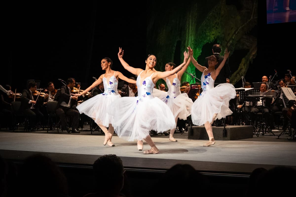 Performing Arts Portfolio