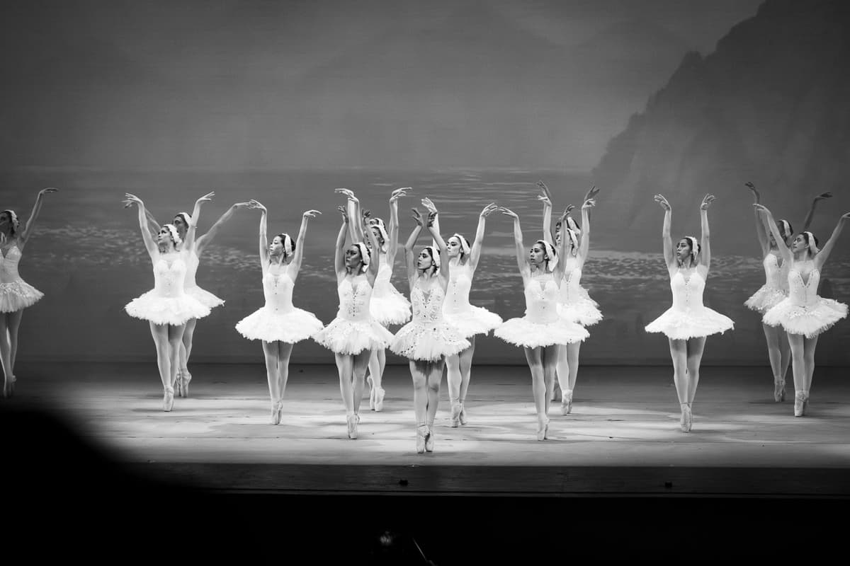 Performing Arts Portfolio