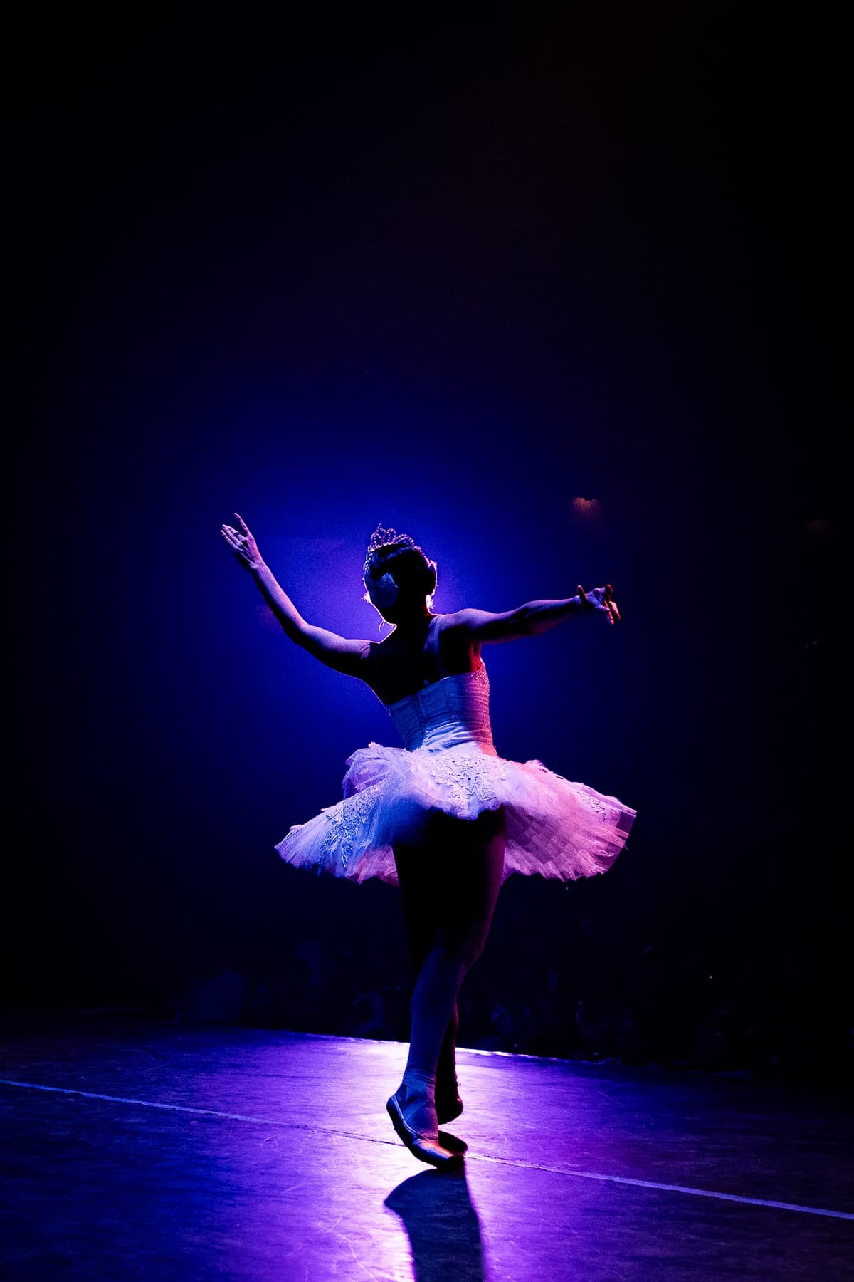 Performing Arts Portfolio