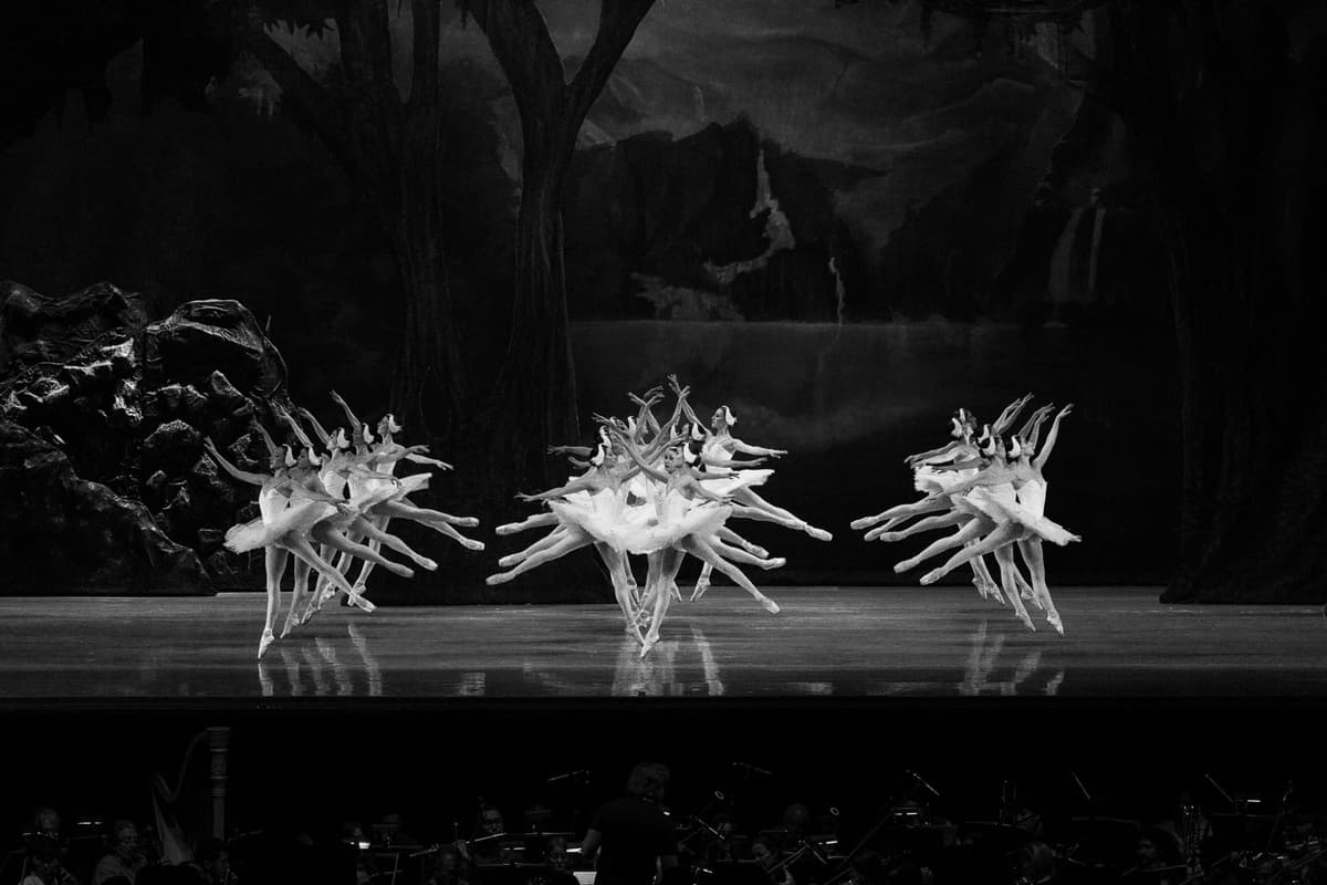Performing Arts Portfolio